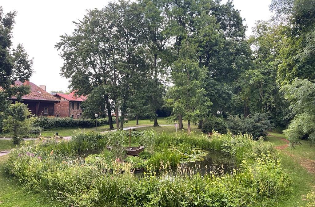 Ein Teich inmitten eines Parks mit Bäumen.