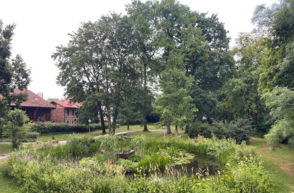 A pond in the middle of a park with trees.