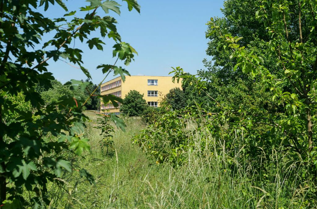 Wiese und Gebüsche im Vordergrund, im Hintergrund ein modernisierter Plattenbau mit gelber Fassade. Heute ist er eine Schule.