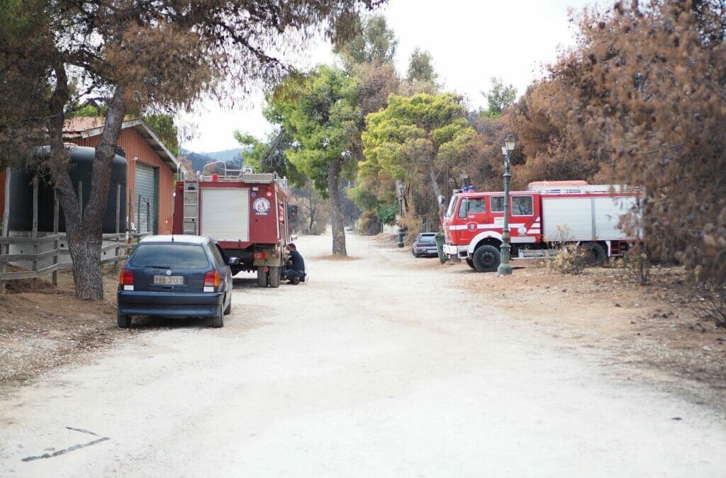 Feuerwehr und Polizei waren mit den Waldbränden in diesem Jahr überfordert.
